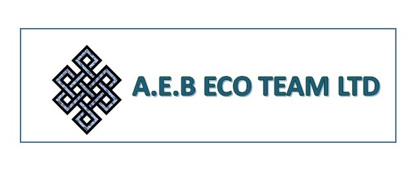 ecoteam logo