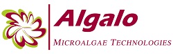 אלגלו לוגו